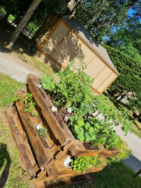 Vegetable garden and aromatic herbs