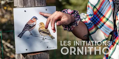 les initiations ornitho