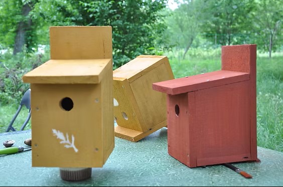 atelier fabrication de nichoirs a mesanges camping la blaquiere gorges du tarn lozere occitanie