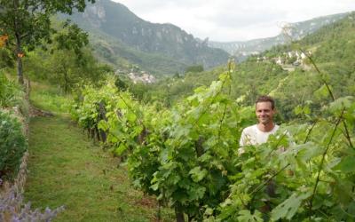 visite oenotouristique frederic guilhem entre deux terres gorges du tarn