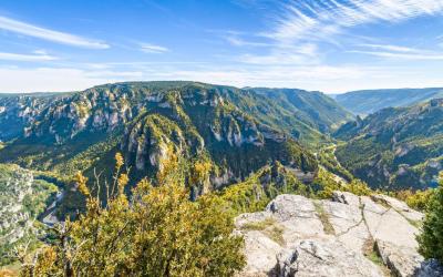 Panorama Point Sublime Gorges du Tarn Loz�re