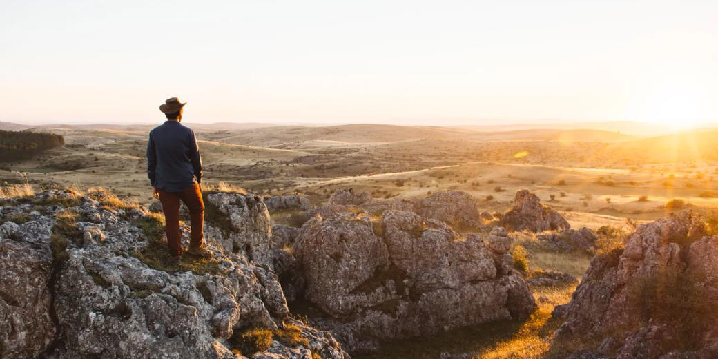 The wild immensity of the Causse M�jean in Loz�re with Przewalski's horses roaming free on the steppe.