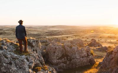 Immensit� sauvage du Causse M�jean en Loz�re avec chevaux de Przewalski en libert� sur la steppe.